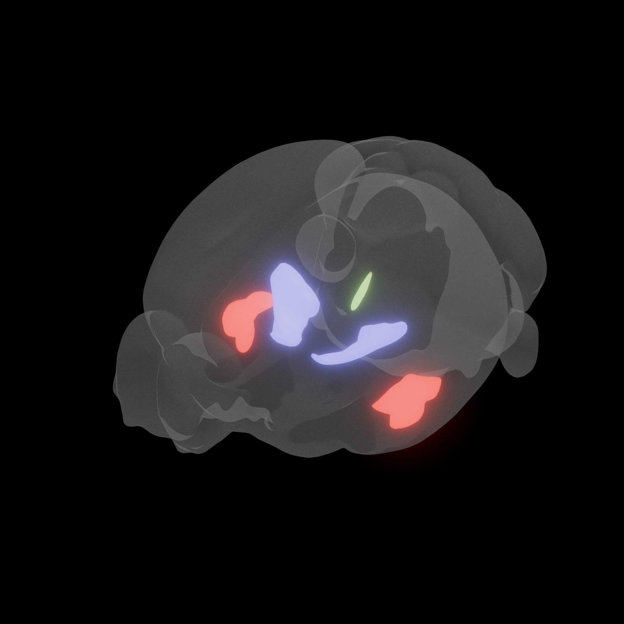 Brainrender and blender visualisations