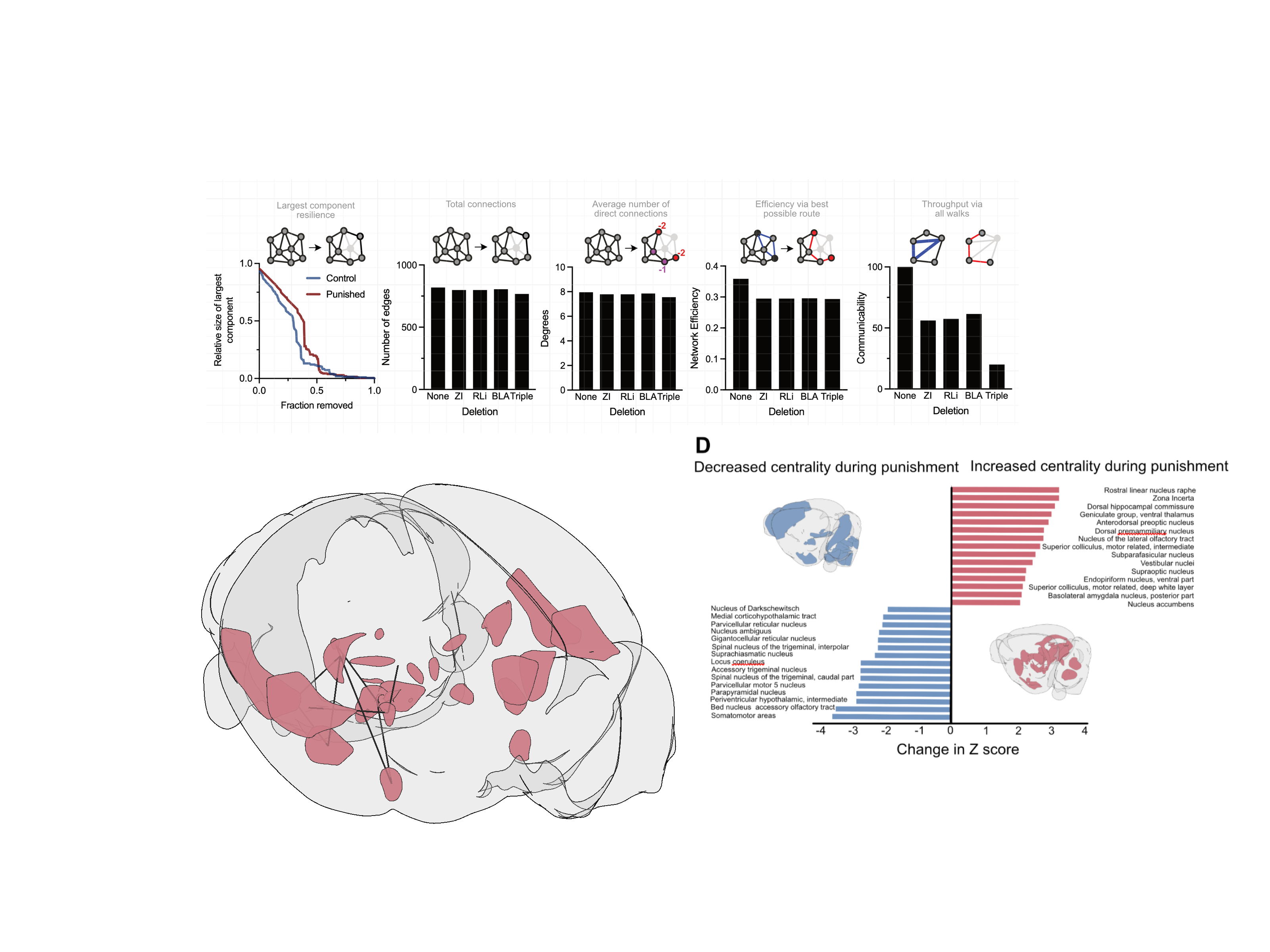 Whole-brain single-cell network analysis