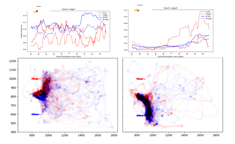 Pose-estimation and behaviour clustering in rodents
